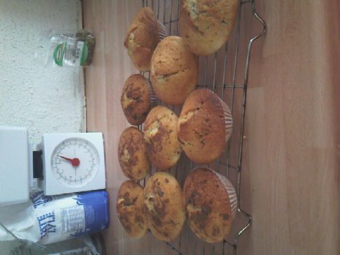 Small Chocolate Chip Muffins