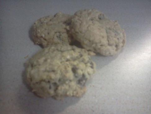 Oatmeal Chocolate Chip Cookies