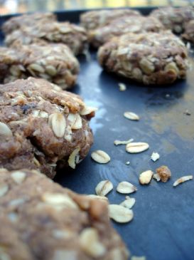 Agave Oatmeal Raisin Flax Cookies