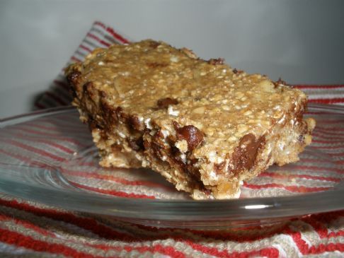 Nutty Honey Protein Bars 