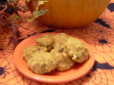 Scott's Pumkin Spice Cookies