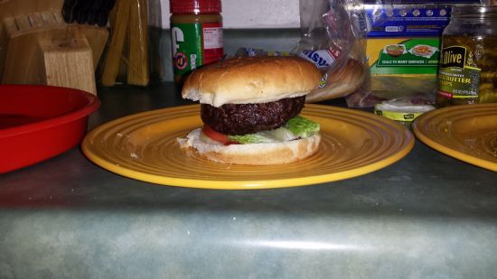 Lauren's Homemade Hamburgers