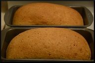 Honey Flax Whole Wheat Bread