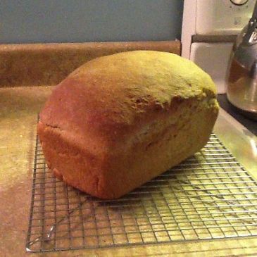 Whole Grain Spelt Bread