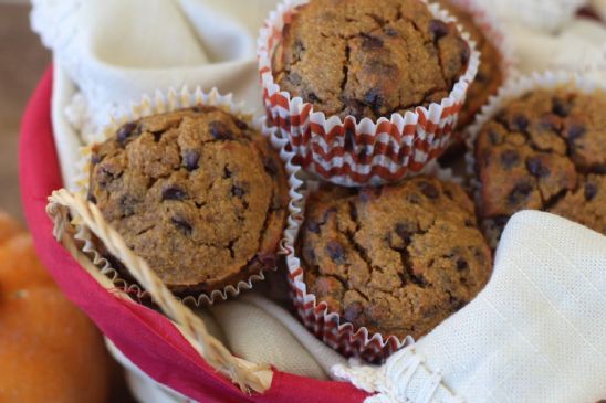 Primal Pumpkin Chocolate Chip Muffins 