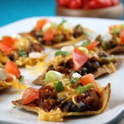 Weight Watchers Nachos Supreme (from recipe book)