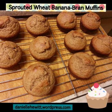 Danielle's Banana Bran Fit Muffins