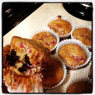 Raspberry Chocolate Chip Protein Muffins