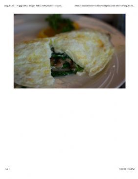 Karen's Veggie and Chicken Omelet 