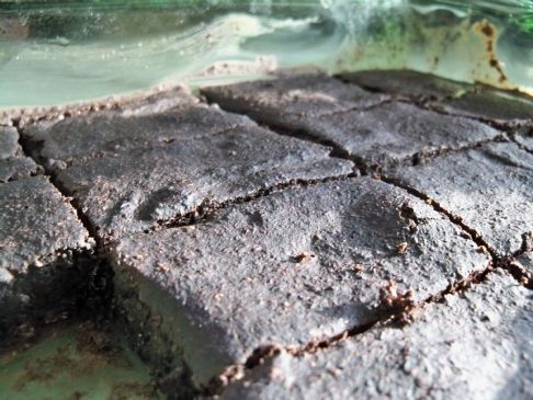 Fat free no sugar added Low calorie Brownies