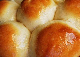 Homemade Dinner Rolls