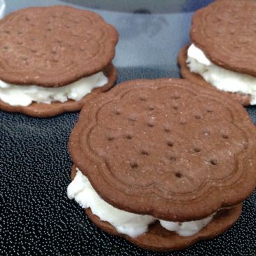 Frozen Yogurt Ice Cream Sandwich