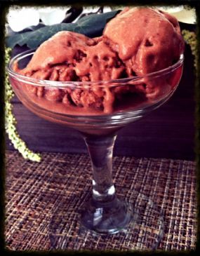 Vegan Chocolate Coconut Infused Ice Cream
