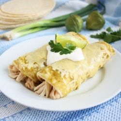 Chicken Enchilada Suiza Recipe