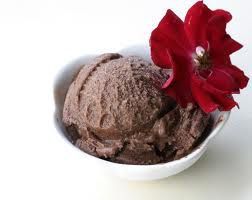 Civilized Caveman Chocolate Icecream