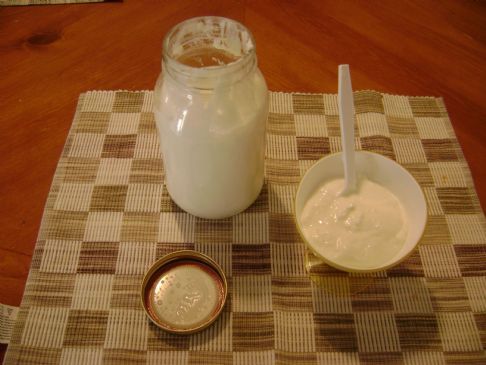 Homemade Yogurt