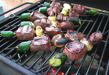 Grilled Antelope Tenderloin Kebabs