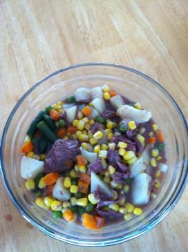 venison vegetable soup(nama sarah)