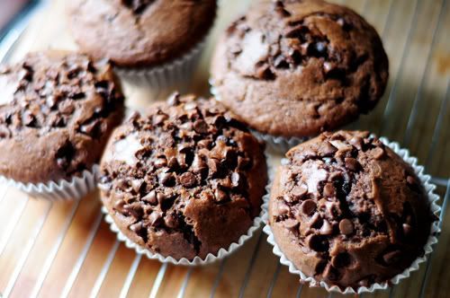 Chocolate Chip Muffin