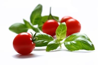 Baked Basil Tomatoes with Parmesan Cheese