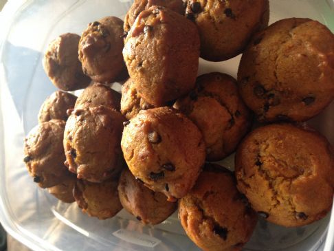 Chocolate Chip Pumpkin Muffins