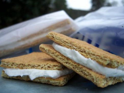 Graham cracker ice cream sandwiches