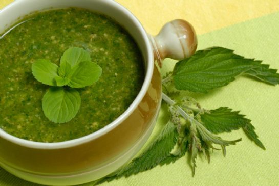 Green Energy Soup