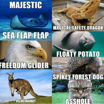 New animal names...