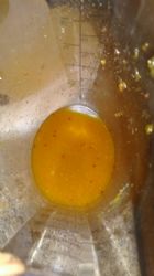 Apricot Vinaigrette