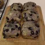 Blueberry Sourdough Muffins