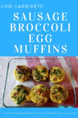 Broccoli and egg muffins