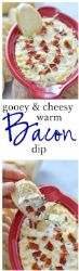 Gooey and Cheesy Bacon Dip