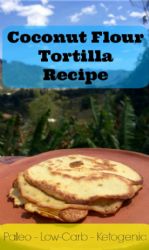 Keto Coconut Flour Tortillas/ from  primaledgehealth.com