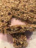 OMG Granola Fruit and Nut Bars by Tamera
