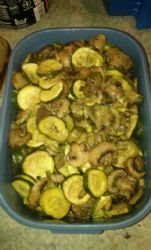 Oven roasted zucchini and mushrooms