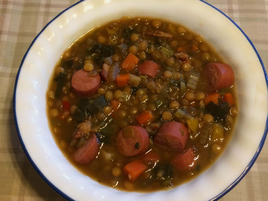 can dogs eat lentil soup