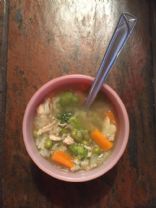 Vegetable chicken soup