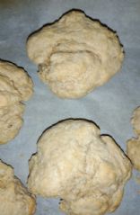 Whole wheat vegan biscuits