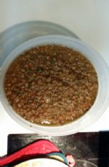 Judy's Lentil Soup