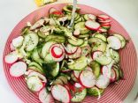 fennel, radish, cucumber salad