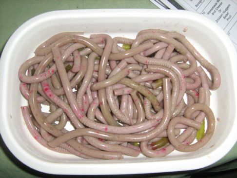 Halloween Worms Recipe  SparkRecipes