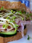 Turkey w Sprouts sandwich