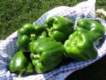 Crock Pot Turkey-Stuffed Peppers