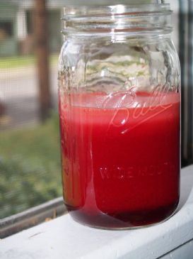 Raw Ruby Juice Recipe | SparkRecipes
