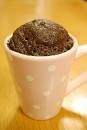 Sugar Free Chocolate Cake in a Mug