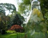 Lemon Mint Cucumber Spritzer