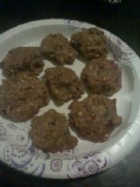 Low Carb Chocolate Oatmeal Cookies