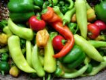 Hearty Mexican Stew