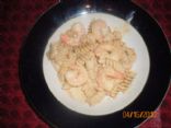 shrimp alfredo 