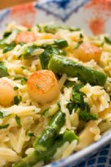 Creamy Orzo with Sea Scallops, Asparagus and Parmesan